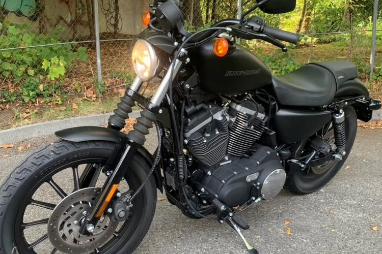 HARLEY DAVIDSON XL 883 N